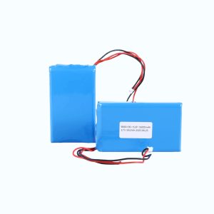 16000mAh High-Capacity Polymer Battery Pack 9060100-1S2P